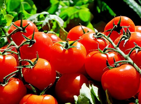 Simple Tomato Chutney