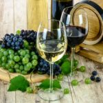 wine grapes varieties
